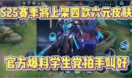 最新爆料六元皮肤,神秘六元皮肤惊艳亮相